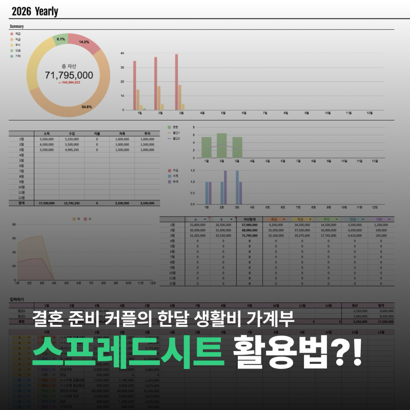 예비 신혼부부의 돈관리 구글 스프레드시트 공유 가계부 사용법 차트 만들기 활용