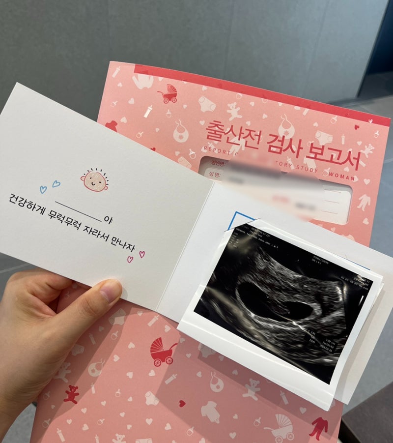 교사 공무원 단체 보험 임신 출산 청구 후기 (한화손해보험, 자연분만)