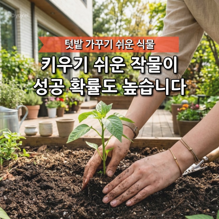  "식물, 괜히 욕심냈다가 망합니다" 초보 텃밭 가꾸기 쉬운 작물부터 시작하세요