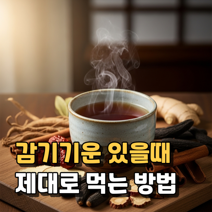  쌍화차 효능 부작용 섭취방법 총정리  피로회복·기력보충·감기몸살 관리까지