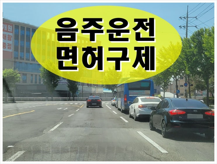  음주운전 킥보드 면허취소 처분 받았다면