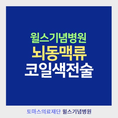 뇌동맥류 코일색전술 (필요한 이유 및 후유증)