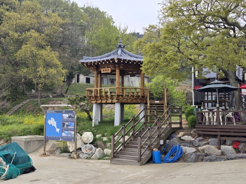대이작도팽나무집 사진 5
