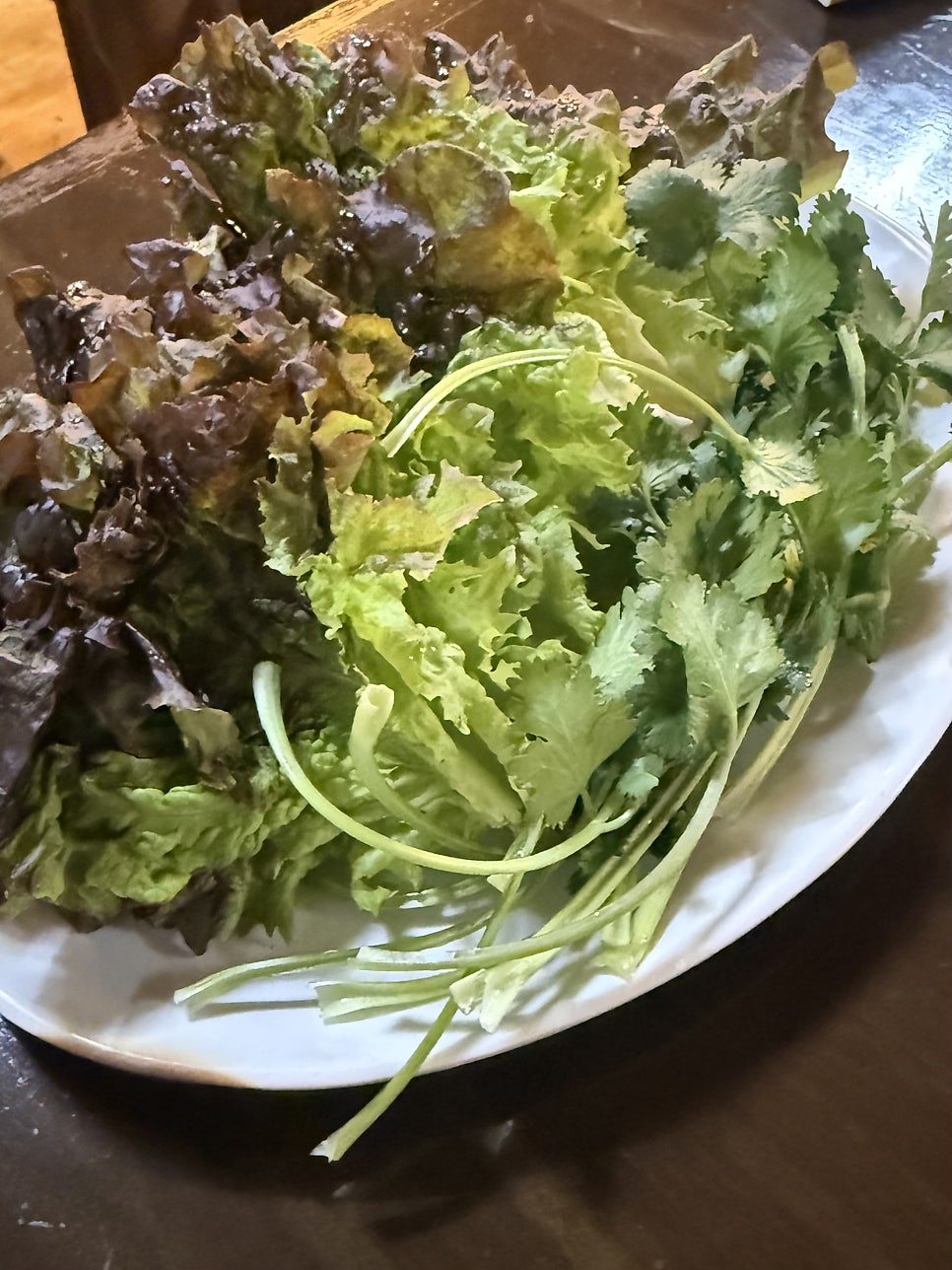 시집안간돼지 사진 6
