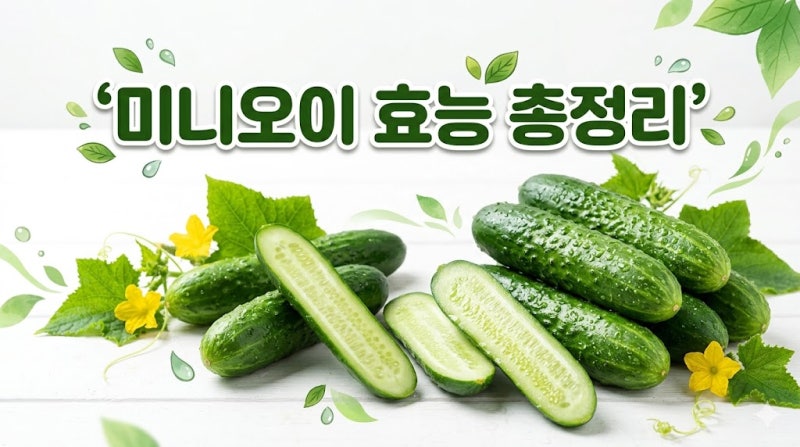 미니오이 효능 칼로리 먹는법