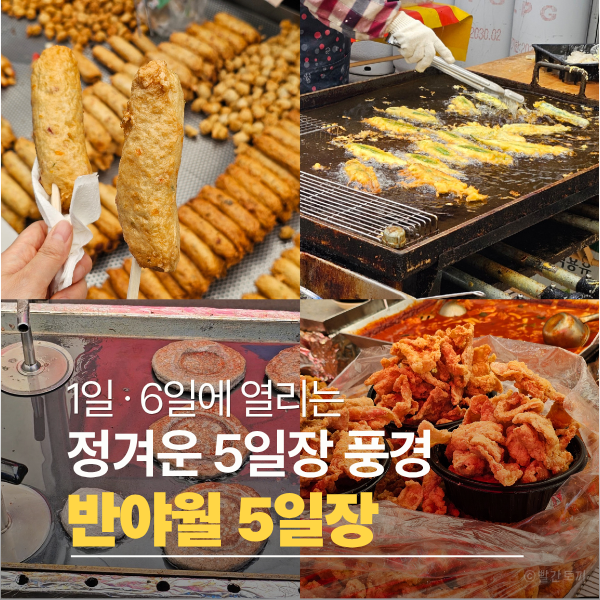  대구 5일장 반야월 장날 후기｜먹거리 가득했던 시장과 주차 정보