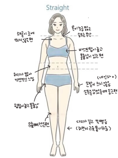 돌잔치 엄마 원피스 대여 vs 구매, 스트레이트 체형 추천