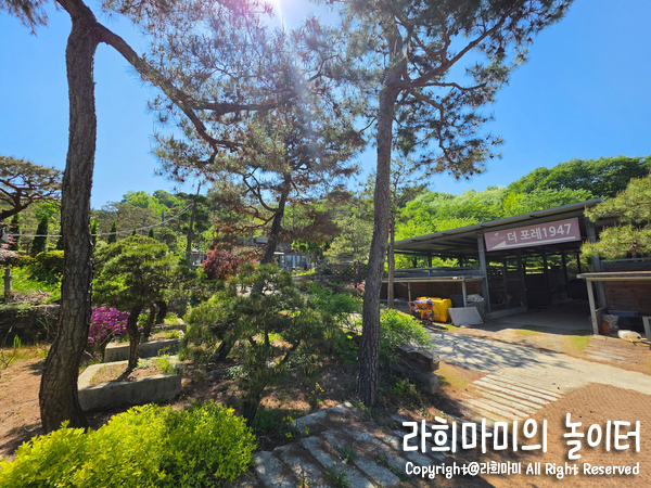 더포레1947 사진 3