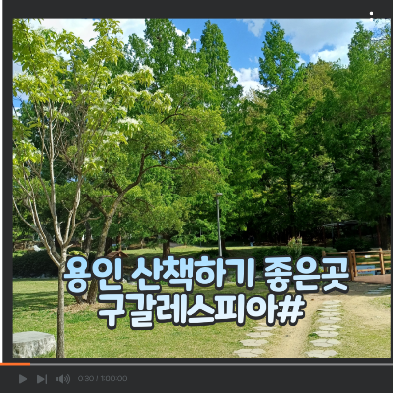 [구갈레스피아]용인산책하기좋은곳 아이생태공원 반려견놀이터