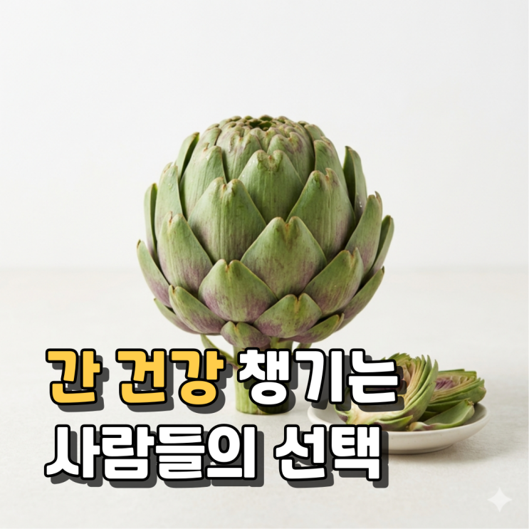 아티초크 효능 부작용 섭취방법 총정리  간 건강·콜레스테롤·다이어트까지