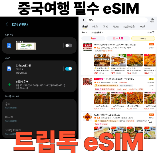 [해외 이심] 트립톡 이심(eSIM) | 내돈내산 해외여행 필수 무제한 이심으로 대동단결+ㅅ+(a.k.a ....