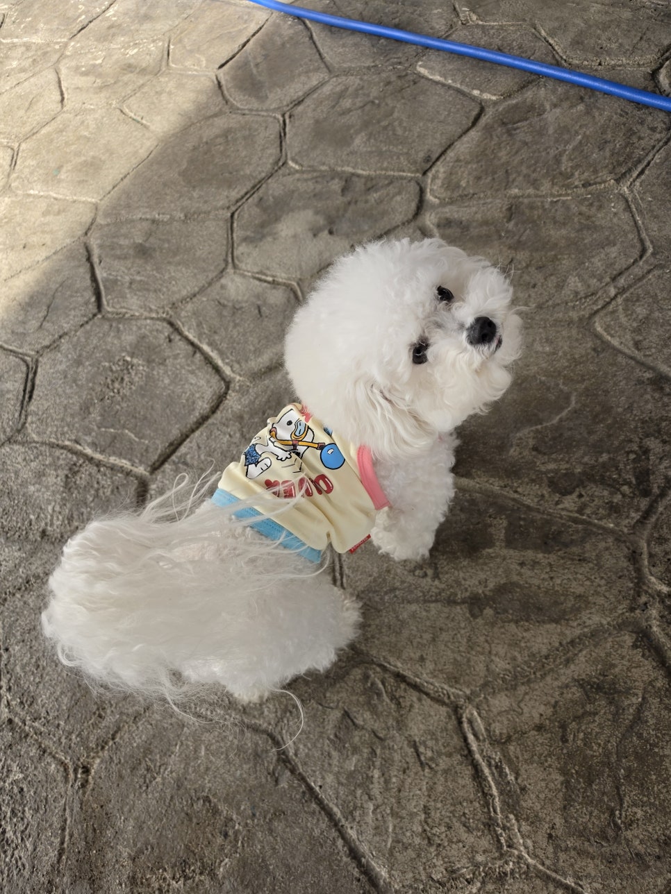 마운틴펫 본점 사진 1