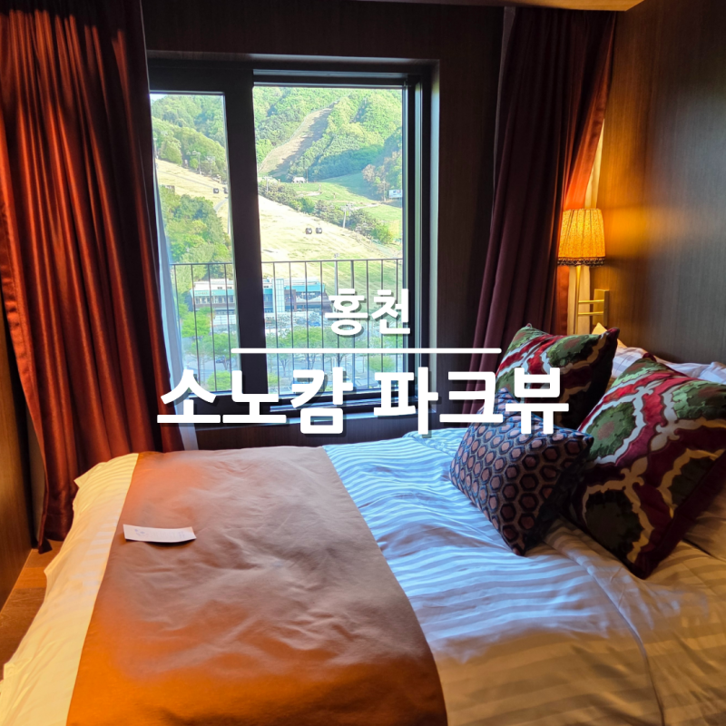 홍천 비발디파크 소노캄 소노벨 차이 룸컨디션 조식 후기