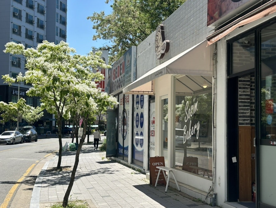 소심 사진 5