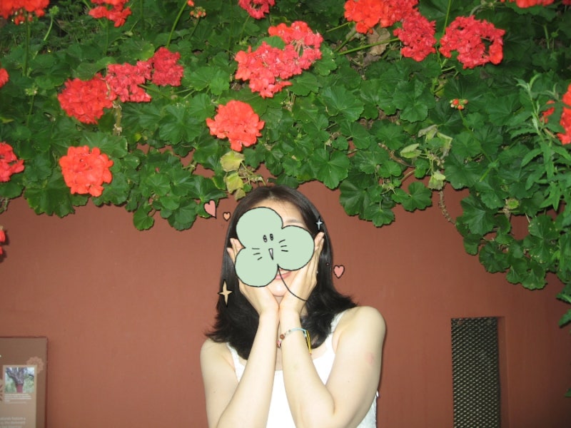 [빈티지 디카] 캐논 IXUS 750 익서스 750 (익시 700) 작례 (2)