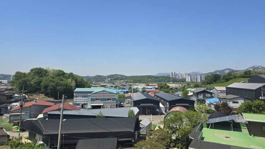 돈내기 사진 2