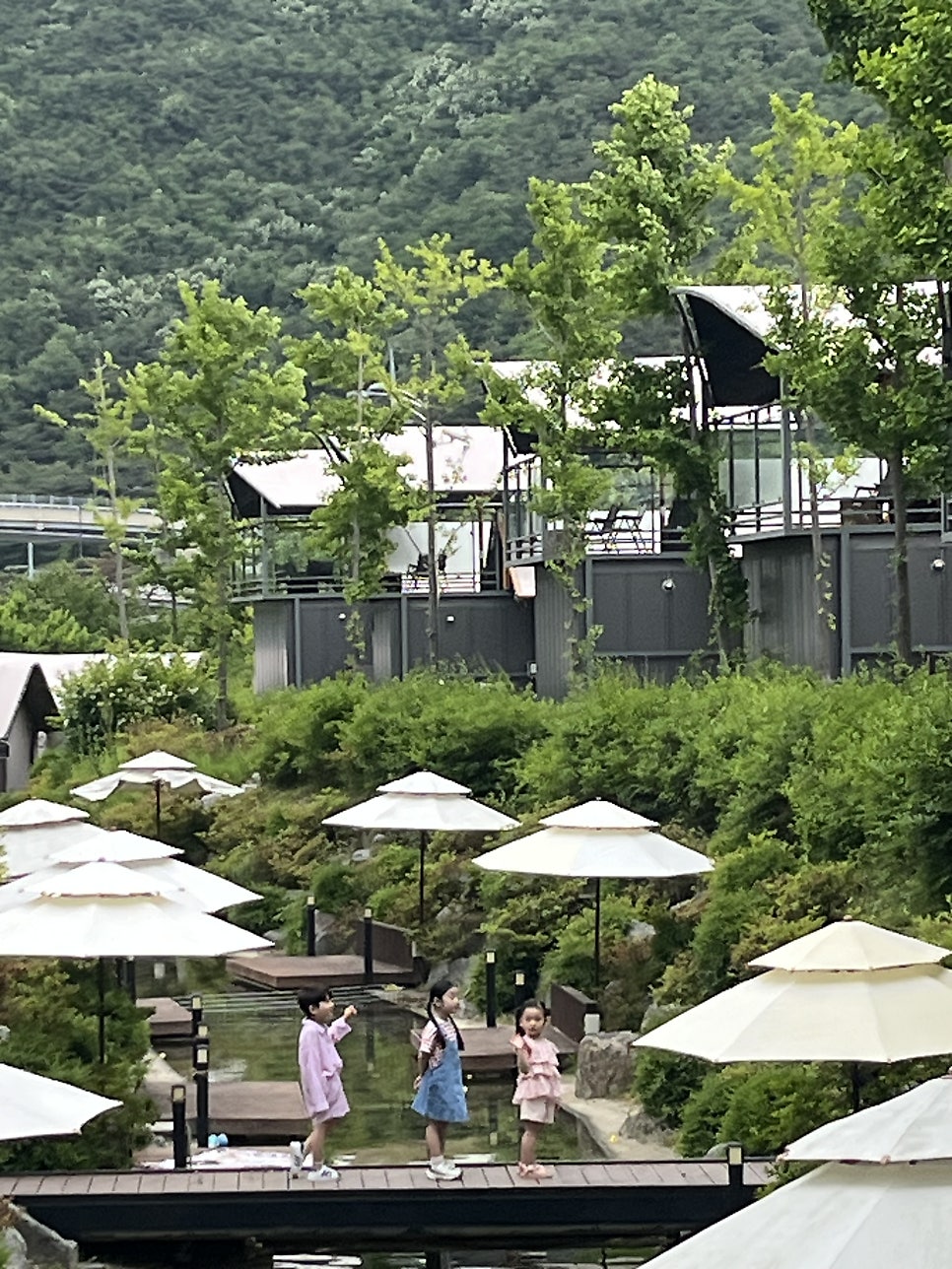 라곰 사진 1