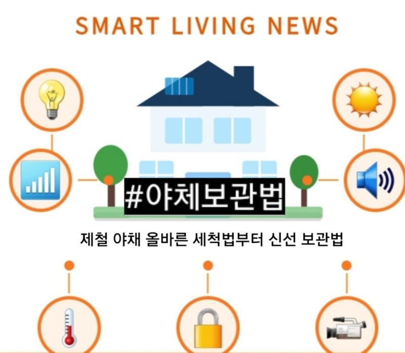 제철 야채 올바른 세척법부터 신선 보관법