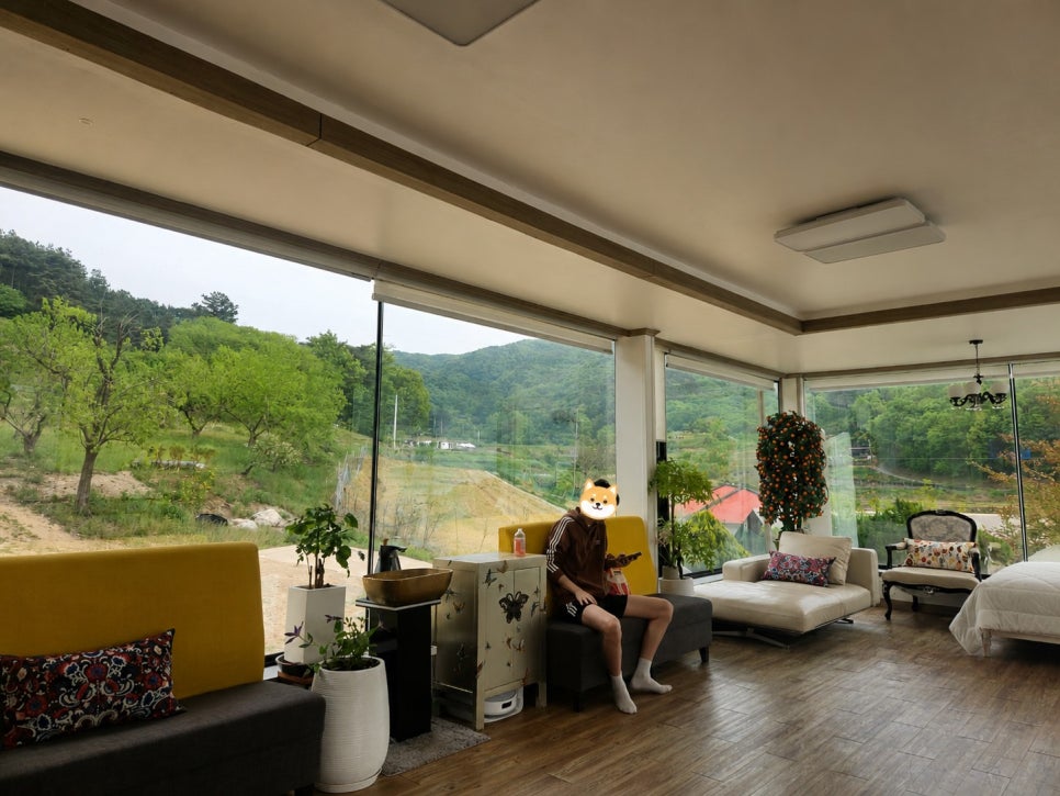 파르데스펜션 사진 3