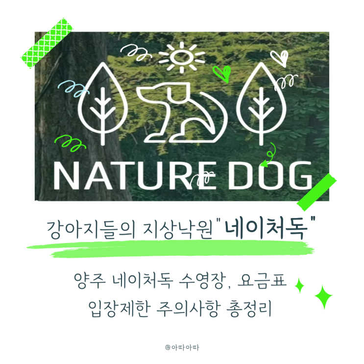 양주 애견운동장 추천｜4천평 천연잔디 네이처독 수영장·요금 총정리