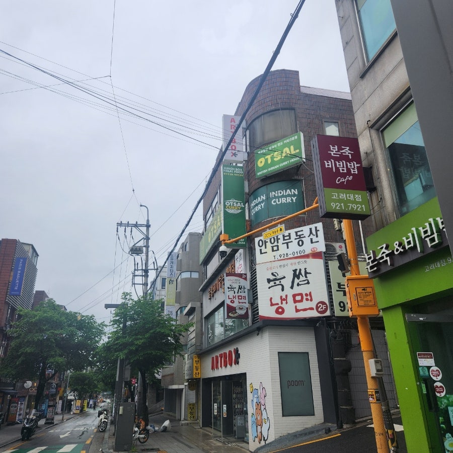 오샬 사진 2