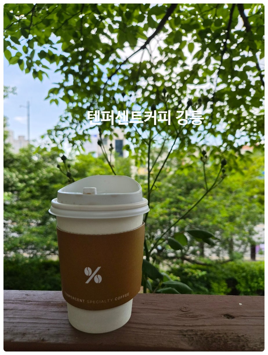 텐퍼센트커피 강릉교동택지점 사진 1