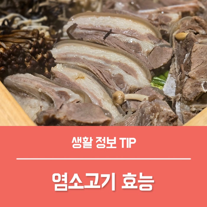 염소고기 효능 5가지, 기력회복에 좋은 이유는?