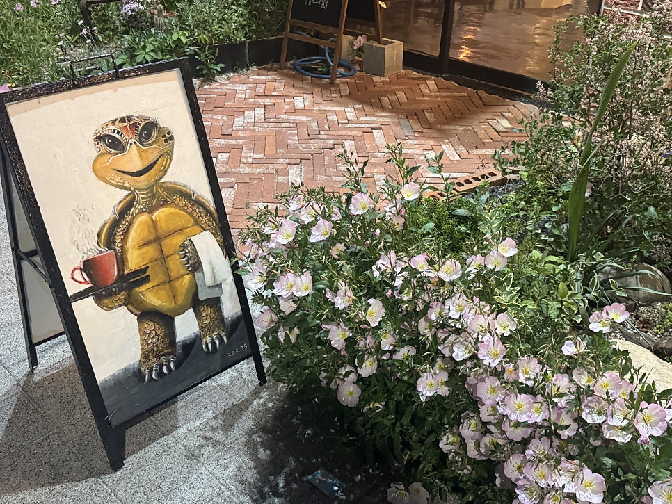 거북이둥지 사진 6