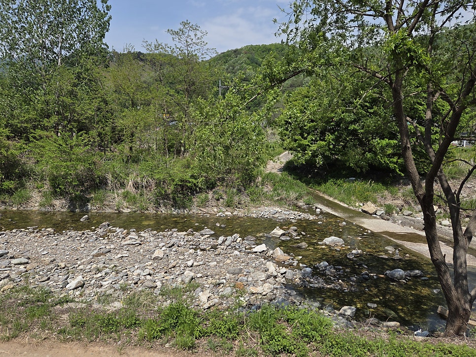 Inseutageulraem photo 4
