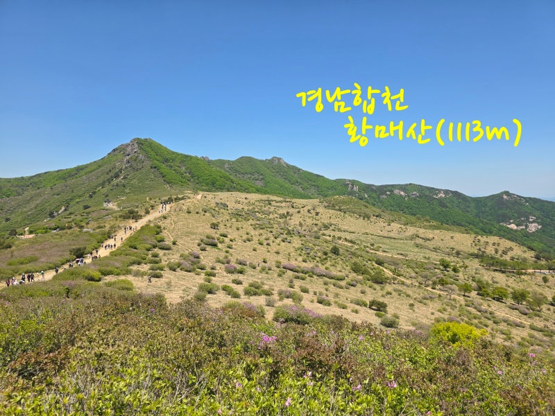 합천 황매산(1113m) 모산재(767m) 철쭉 암릉 산행 등산코스 떡갈재/모산재 주차장