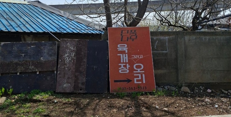 검단맛집 육개장맛집 단풍나무