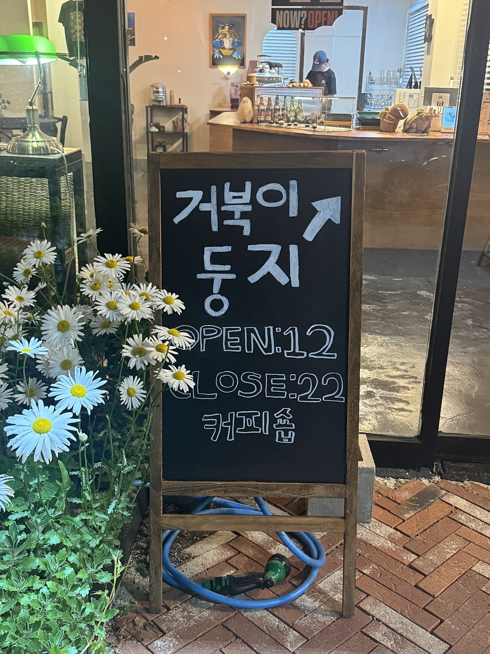 거북이둥지 사진 3