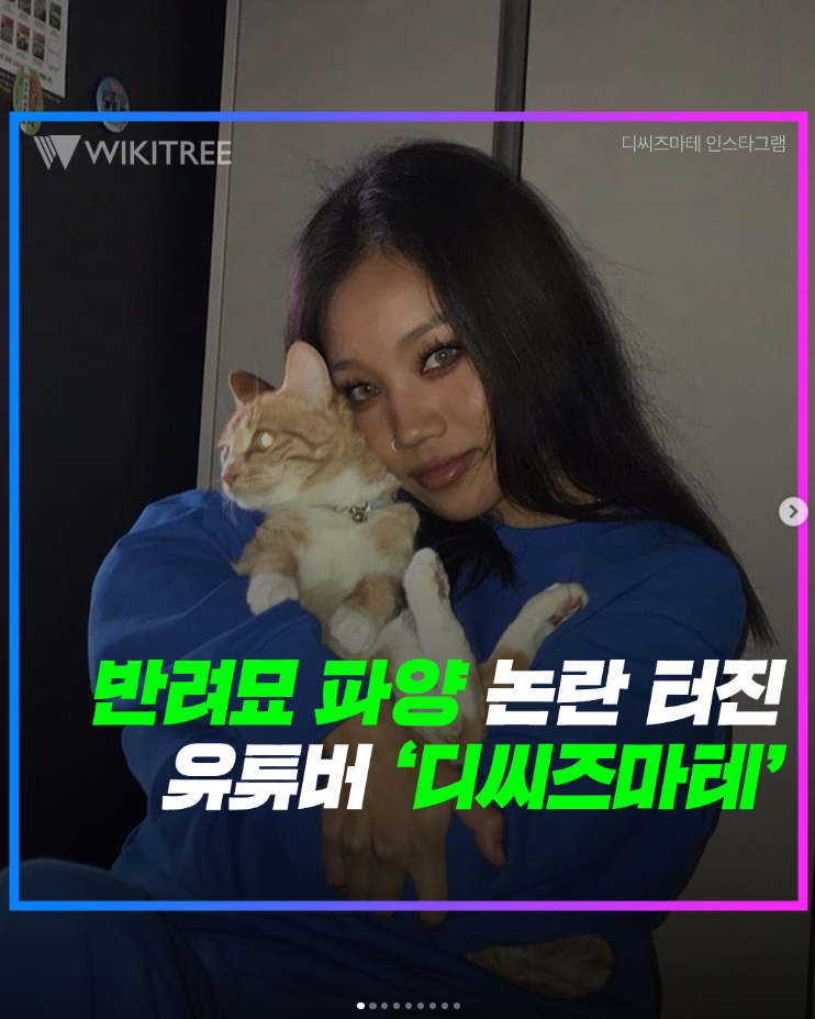  고양이 파양 브이로그는 처음, 심지어 광고 영상??