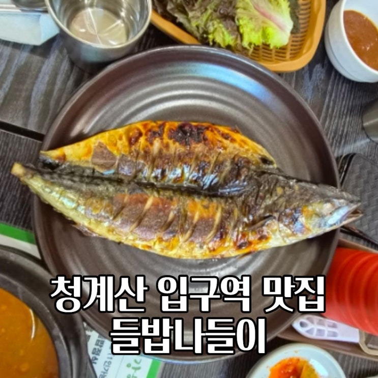  청계산 입구역 맛집 들밥나들이 한식 보리밥 청국장