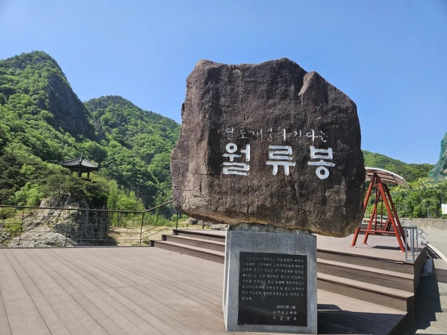 월류 사진 1