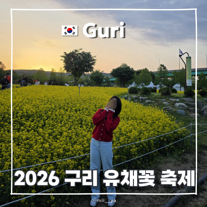 2026 구리 유채꽃 축제 명소 한강시민공원 위치 주차 행사 정보 총정리