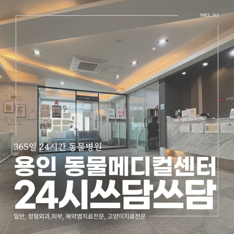 용인 24시쓰담쓰담동물메디컬센터, 아기 고양이 감기 허피스 완치하고 온 찐 방문기