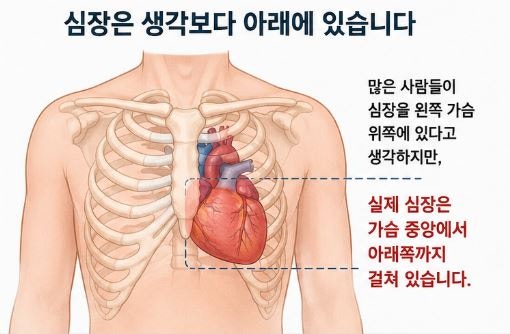 체한 줄 알고 넘기기 쉬운 심근경색의 위험 신호들