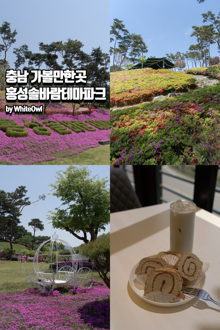  충청남도 홍성가볼만한곳 소나무 향기와 철쭉의 조화 솔바람테마파크