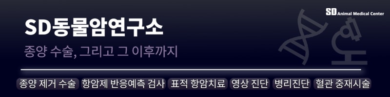 그래서, 고양이 비강 종양이 뭔가요?
