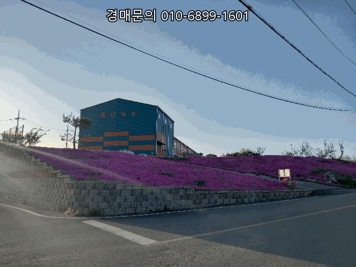  충남 예산군 봉산면 효교리 163-20, 넓은 대지 위의 안정적인 공업용 공장 부동산 경매 기회! 법원 매각 물건 2025타경15667