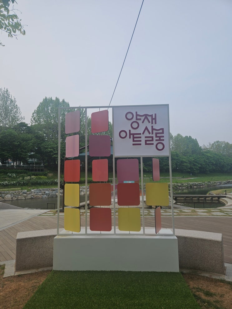  [러닝코스] 서울 원정 러닝: 양재천 메타세쿼이아 그늘 아래서 만난 5월의 튤립과 물고기 떼