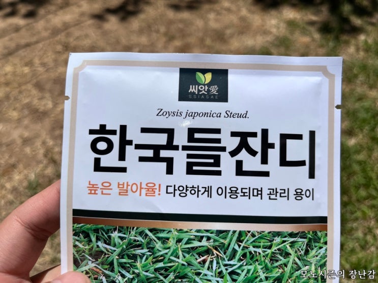  정원 잔디밭 잔디 살리기 위한 한국 들잔디씨와 잔디용 비료 구매후기