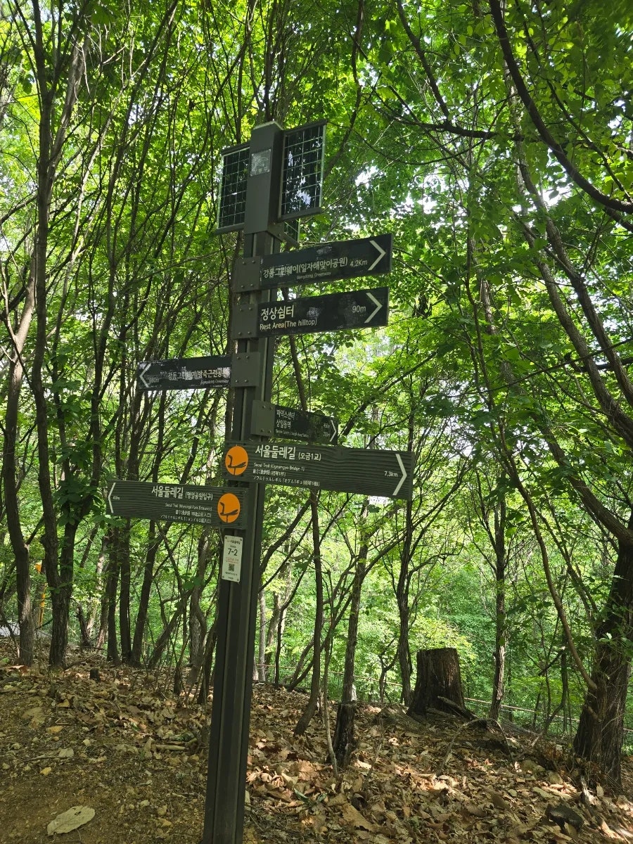 풍경채 사진 4