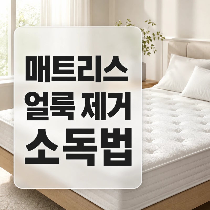 말라붙은 매트리스 얼룩, 업체 부르기 전 '이 방법' 써보세요! 90% 이상 사라집니다