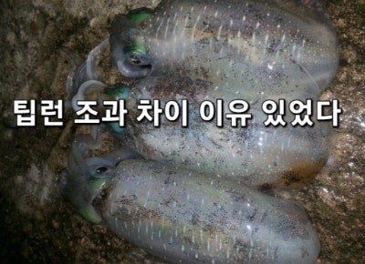 무늬오징어 팁런 핵심 테크닉 총정리