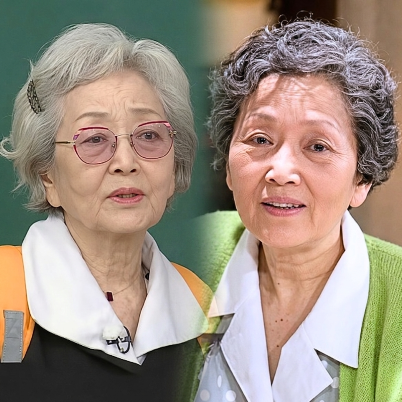 김영옥 프로필, 88세에 손자 간병하는 안타까운 이유
