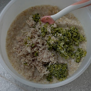 돌 아기 간단한 아침 오트밀포리지 조합