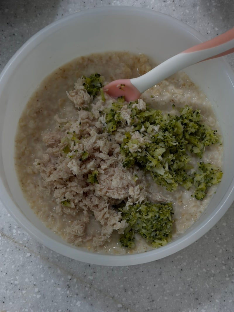돌 아기 간단한 아침 오트밀포리지 조합