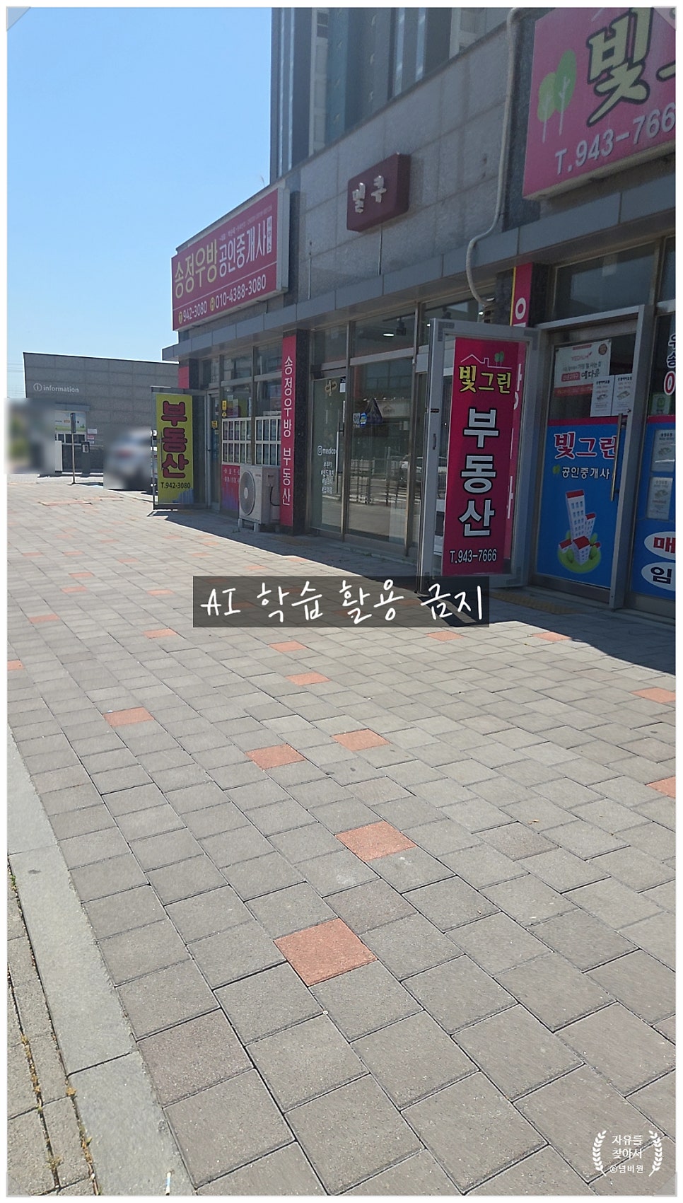 밀쿠 사진 2